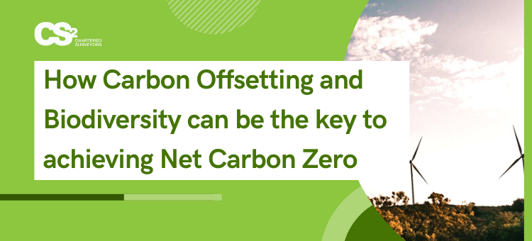 How Carbon Offsetting and Biodiversity can be the key to achieving Net ...